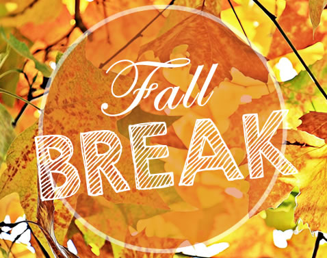 What do Teachers do on Fall Break?