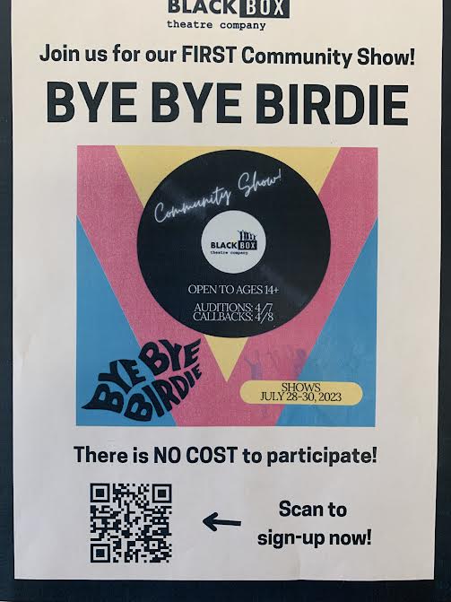 Bye Bye Birdie Auditions!
