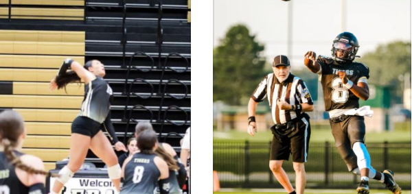 Meet Our Newest Tiger Athletes